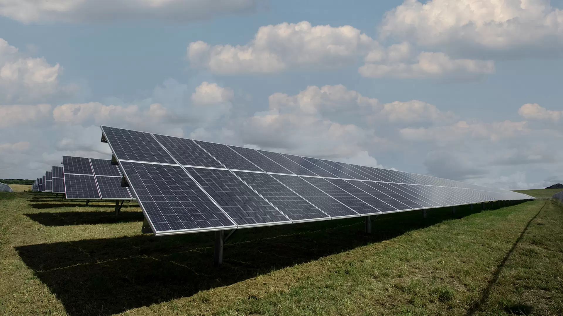 Solarmodule auf Feld mit blauem Himmel