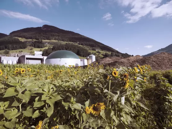 AGRO Energiezentrum Schwyz 