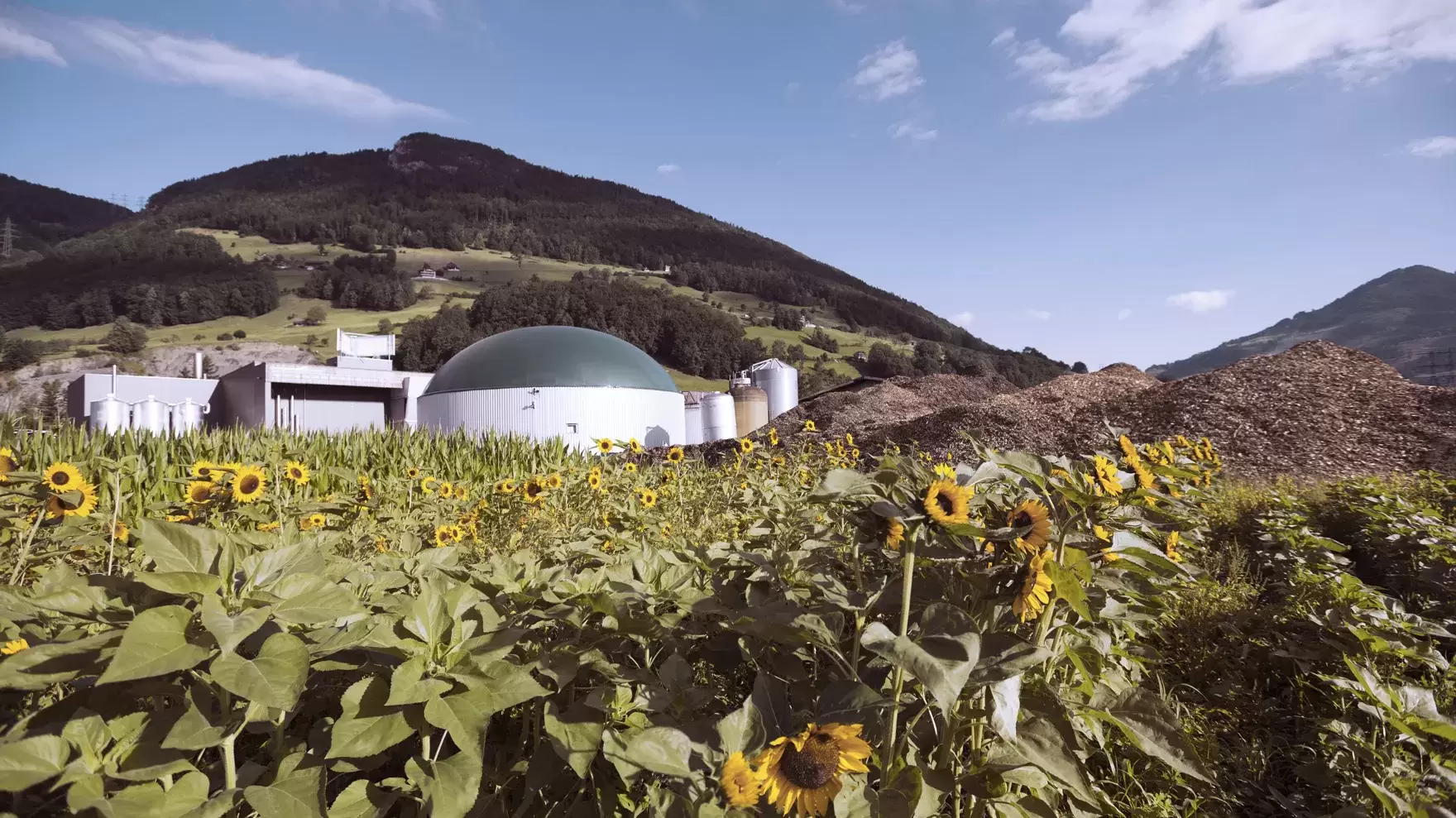 AGRO Energiezentrum Schwyz 